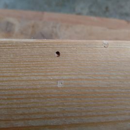 Napadení hmyzem s chodničkami do průměru 2mm je přípustné, jelikož nemá vliv na pevnost dřeva